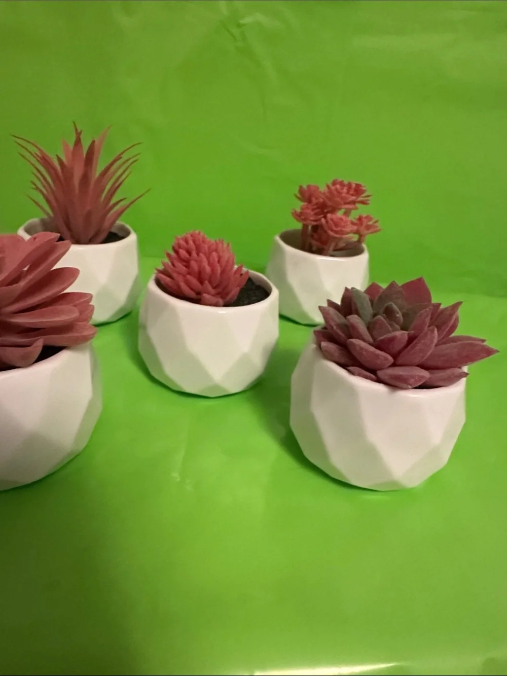 White Geometric Ceramic Planter Set with Pink Succulents - Home Accents